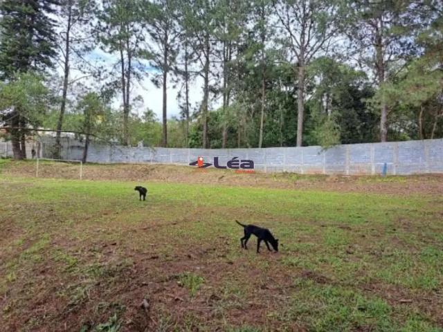 Terreno / Lote para Venda em Suzano/SP Fazenda Aya
