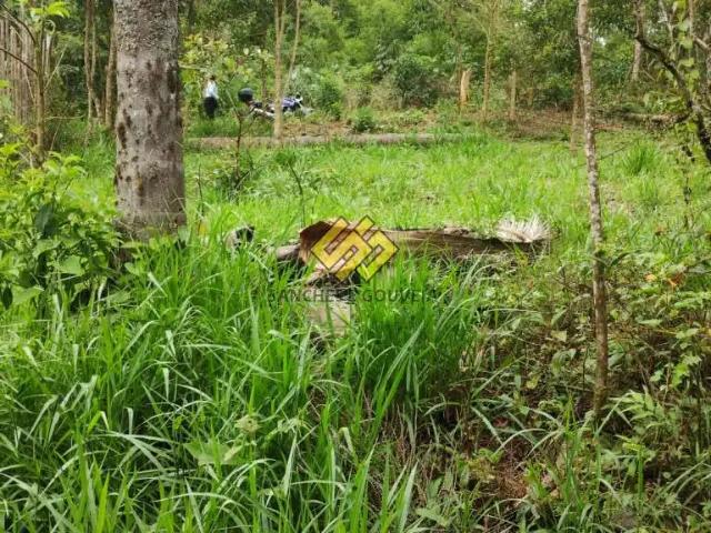 Terreno / Lote para Venda em Suzano/SP Fazenda Aya