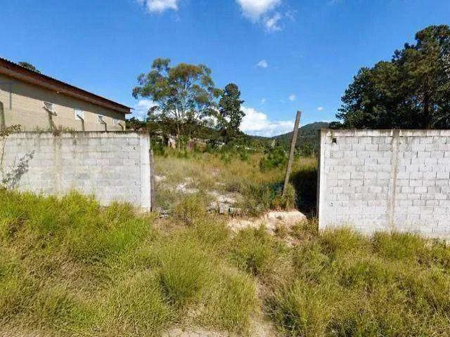 Terreno / Lote para Venda em Suzano/SP Fazenda Aya