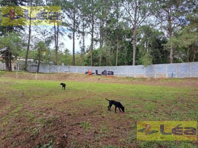 Terreno / Lote para Venda em Suzano/SP Fazenda Aya