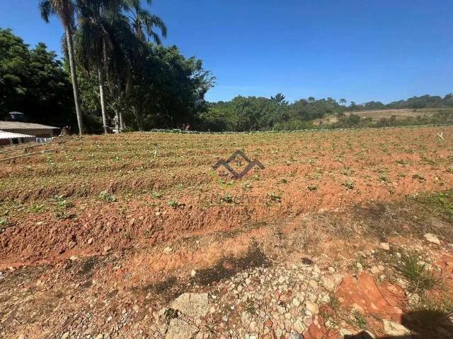 Terreno / Lote para Venda em Suzano/SP Fazenda Aya