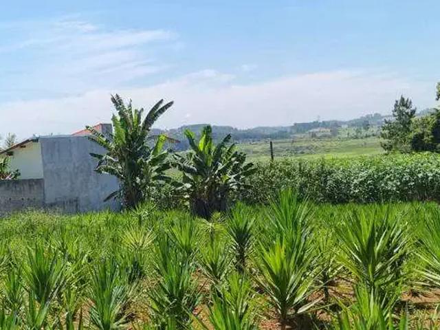 Terreno / Lote para Venda em Suzano/SP Ipelândia