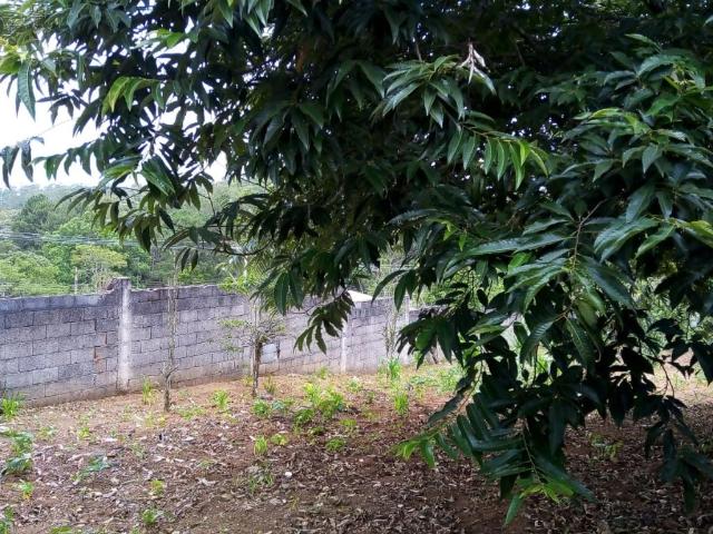 Terreno / Lote para Venda em Suzano/SP Jardim Casa Branca