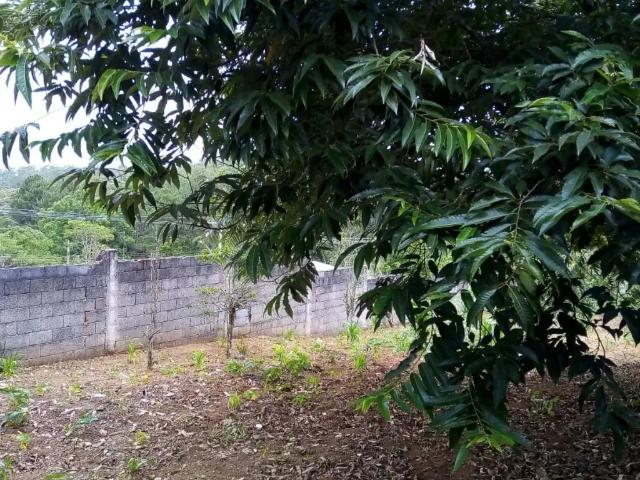 Terreno / Lote para Venda em Suzano/SP Jardim Casa Branca