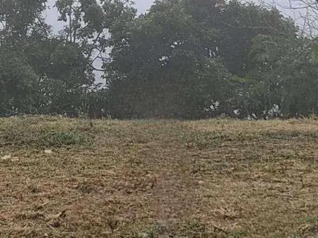 Terreno / Lote para Venda em Suzano/SP Jardim Chácara Méa