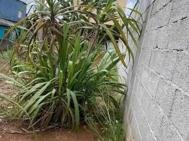 Terreno / Lote para Venda em Suzano/SP Jardim Alto da Boa Vista