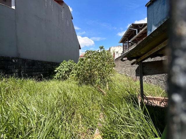 Terreno / Lote para Venda em Suzano/SP Jardim dos Ipês