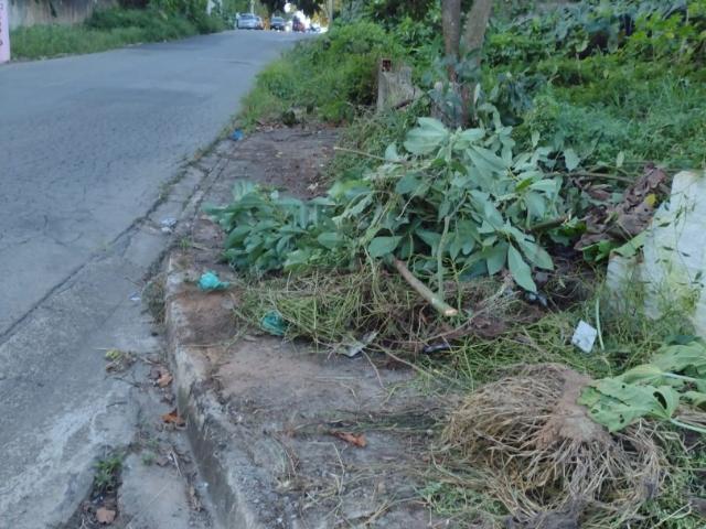 Terreno / Lote para Venda em Suzano/SP Jardim das Flores