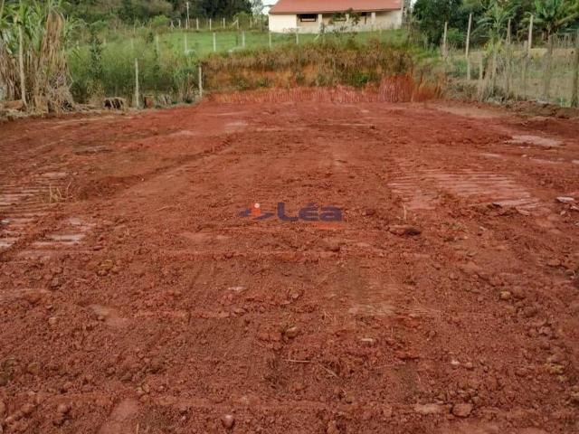 Terreno / Lote para Venda em Suzano/SP Jardim Nova Ipelândia