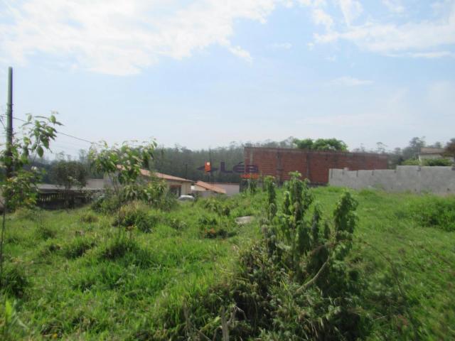 Terreno / Lote para Venda em Suzano/SP Jardim São Luís
