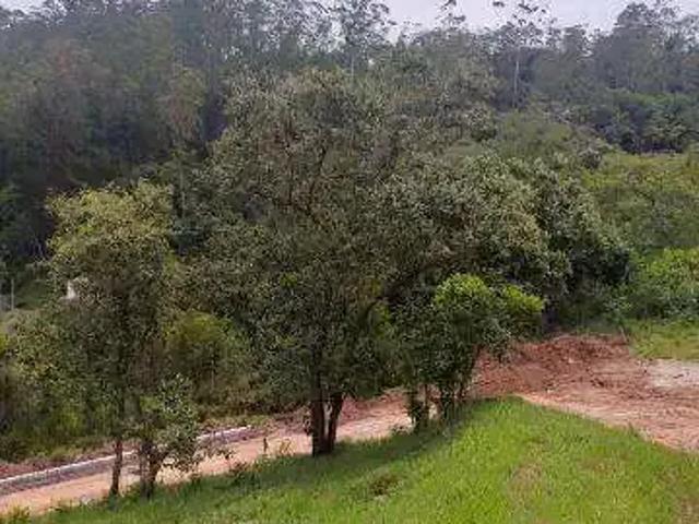 Terreno / Lote para Venda em Suzano/SP Jardim São Luís