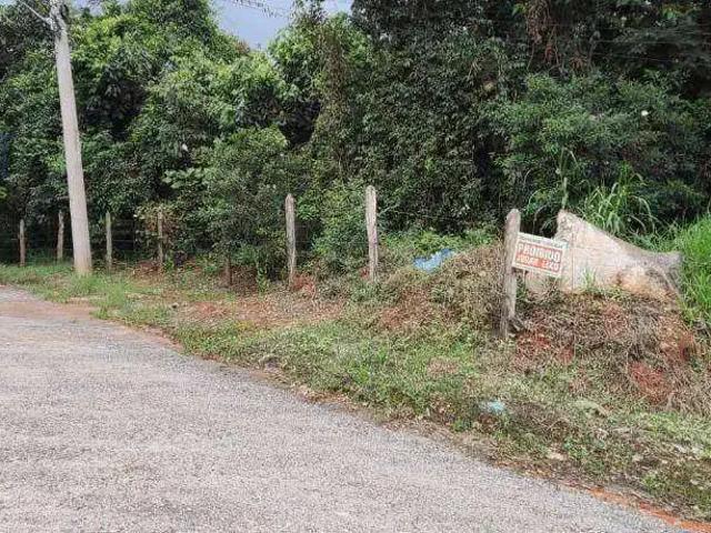 Terreno / Lote para Venda em Suzano/SP Jardim Silvestre