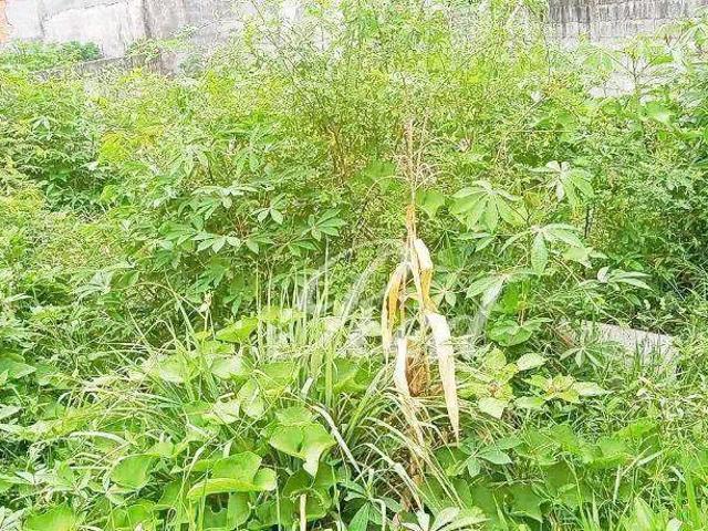 Terreno / Lote para Venda em Suzano/SP Jardim Quaresmeira