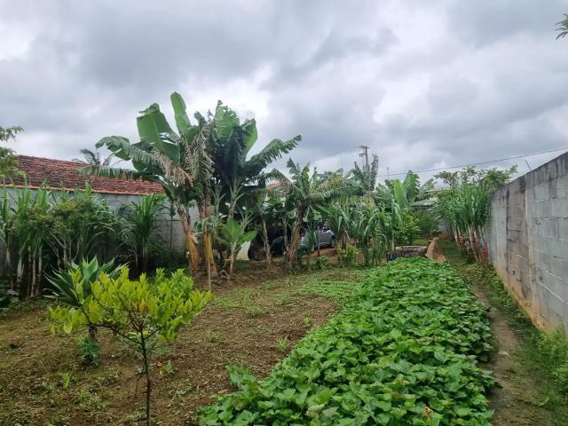 Terreno / Lote para Venda em Suzano/SP Palmeiras de São Paulo