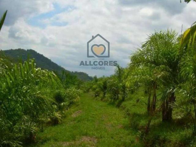 Terreno / Lote para Venda em Suzano/SP Parque Santa Rosa