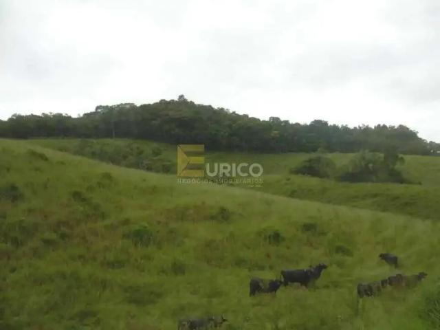 Terreno / Lote para Venda em Suzano/SP Parque Santa Rosa