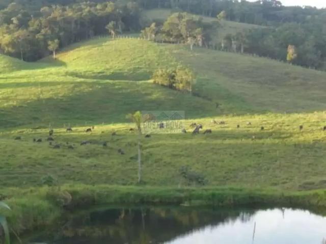 Terreno / Lote para Venda em Suzano/SP Parque Santa Rosa