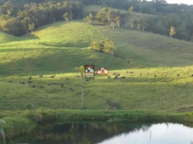Terreno / Lote para Venda em Suzano/SP Parque Santa Rosa