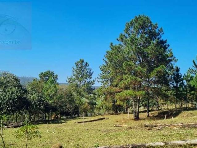 Terreno / Lote para Venda em Suzano/SP Recreio Santa Rita