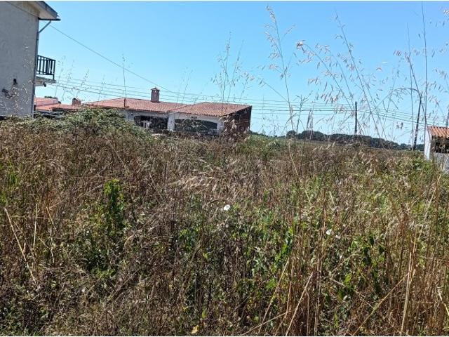 Terreno / lote para construção de moradia Ílhavo