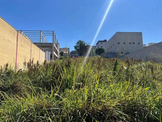 Terreno / Lote para Locação em Cajamar/SP Ipês Polvilho