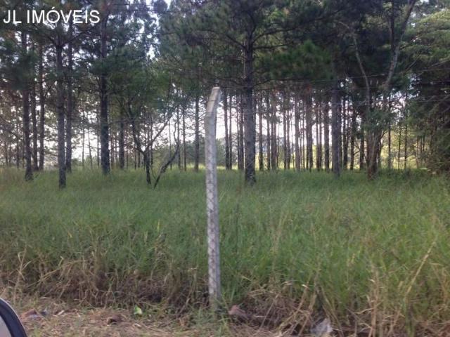 Terreno / Lote para Locação em Campo Limpo Paulista/SP Botujuru Botujuru