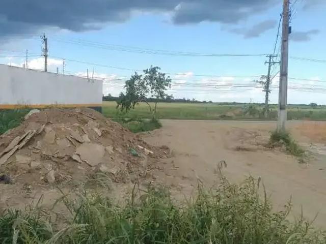 Terreno / Lote para Locação em Campos dos Goytacazes/RJ Goytacazes