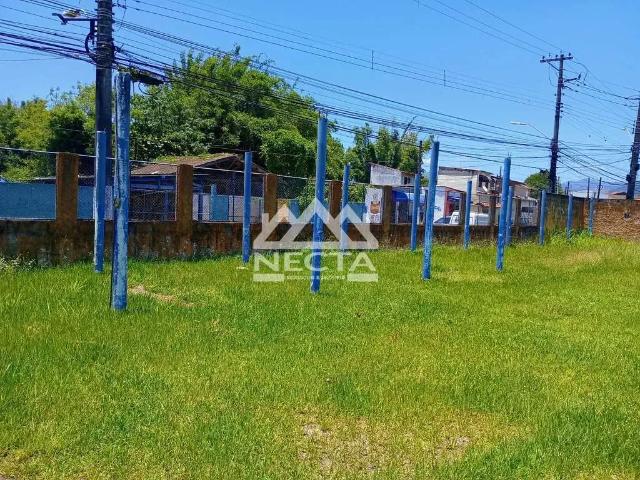 Terreno / Lote para Locação em Caraguatatuba/SP Morro do Algodão