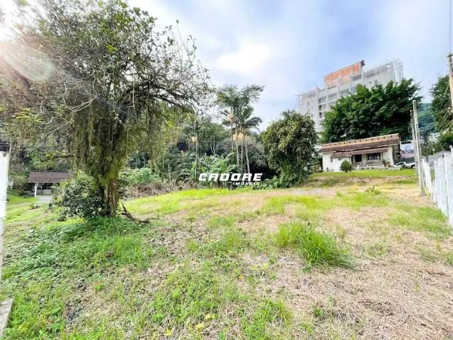 Terreno / Lote para Locação em Blumenau/SC Velha