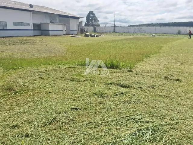 Terreno / Lote para Locação em Guarapuava/PR Imóvel Morro Alto