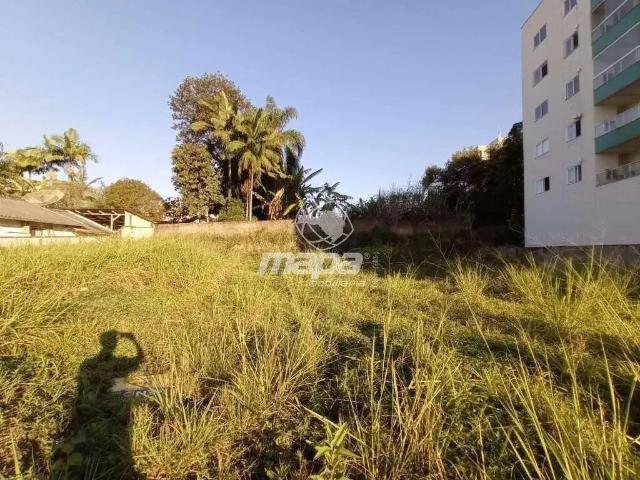 Terreno / Lote para Locação em Indaial/SC Nações