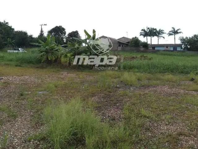 Terreno / Lote para Locação em Indaial/SC Carijós