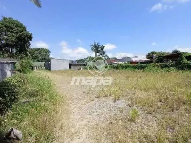 Terreno / Lote para Locação em Indaial/SC Centro