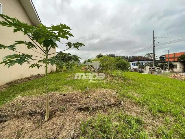 Terreno / Lote para Locação em Indaial/SC Tapajós