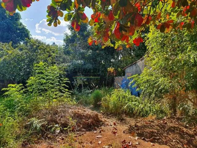 Terreno / Lote para Locação em Indaiatuba/SP Vila São José