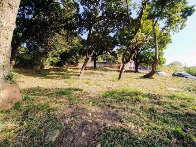 Terreno / Lote para Locação em Ibirité/MG Centro