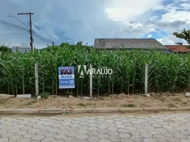 Terreno / Lote para Locação em Navegantes/SC Gravata