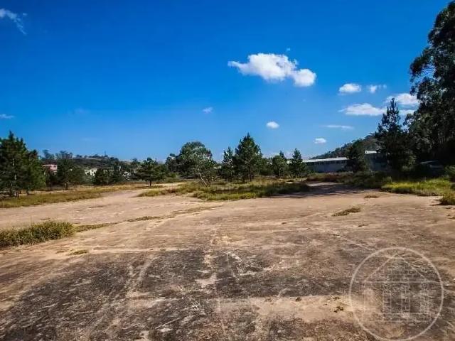 Terreno / Lote para Locação em São Bernardo do Campo/SP Cooperativa