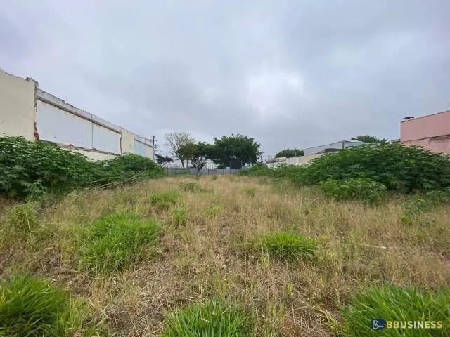 Terreno / Lote para Locação em São Caetano do Sul/SP Osvaldo Cruz