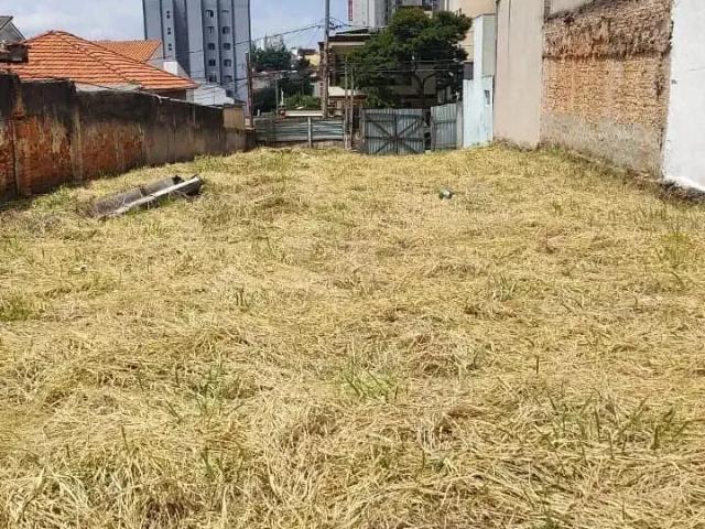 Terreno / Lote para Locação em São Caetano do Sul/SP Santa Maria