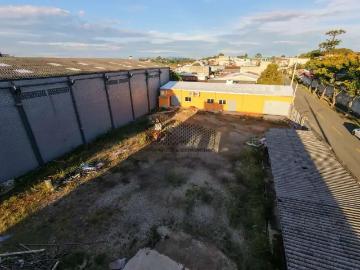 Terreno / Lote para Locação em São José dos Pinhais/PR Águas Belas