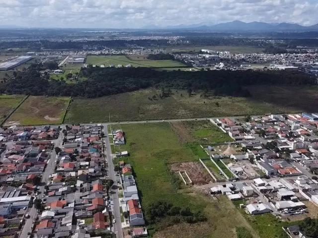 Terreno / Lote para Locação em São José dos Pinhais/PR Ipê