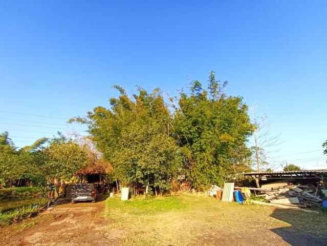 Terreno / Lote para Locação em São Leopoldo/RS São Miguel