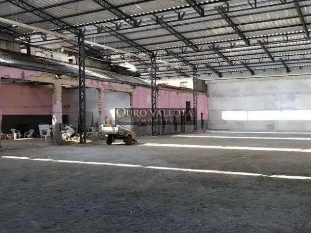 Terreno / Lote para Locação em São Paulo/SP Cambuci