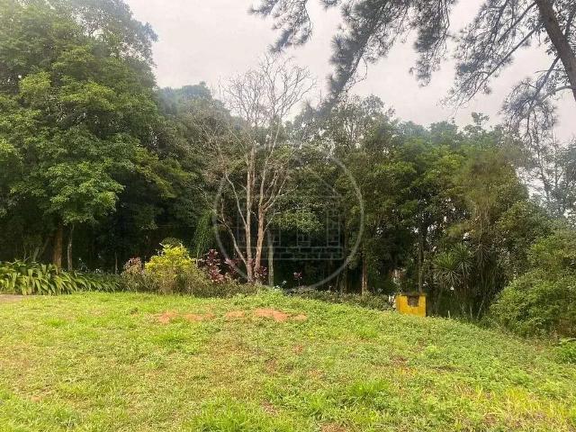 Terreno / Lote para Locação em São Paulo/SP Jardim Novo Horizonte