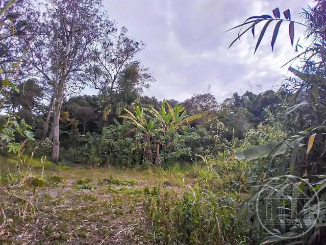 Terreno / Lote para Locação em São Paulo/SP Jardim Santa Francisca Cabrini