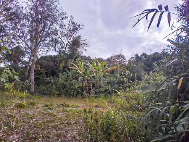 Terreno / Lote para Locação em São Paulo/SP Jardim Santa Francisca Cabrini