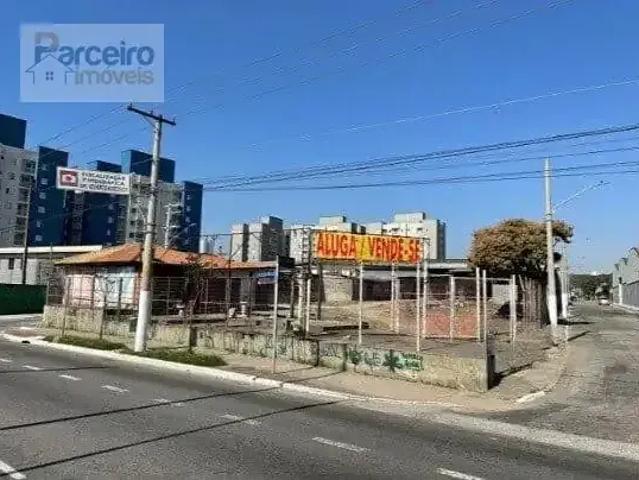Terreno / Lote para Locação em São Paulo/SP Vila Califórnia