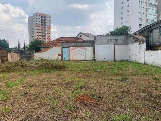 Terreno / Lote para Locação em São Paulo/SP Vila Carrão