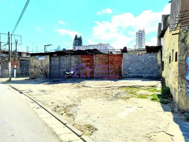 Terreno / Lote para Locação em São Paulo/SP Vila Matilde